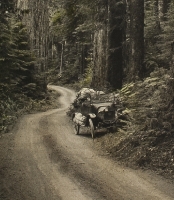 Darius Kinsey, Olympic Highway East of Lake Crescent (detail)