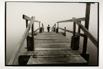 fog