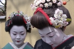 maiko