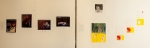Art Worlds Exhibition