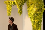 Land and Sky Exhibition