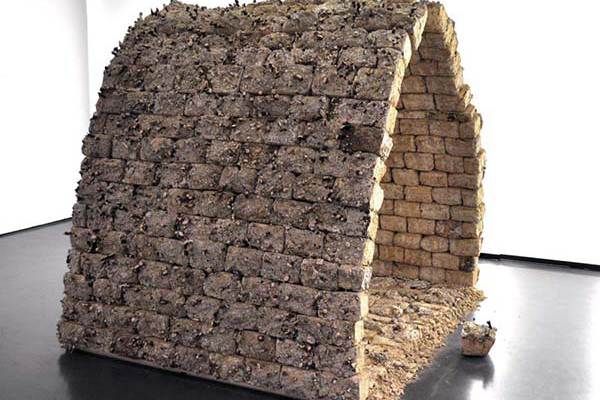 Emerging Materials: Mycelium Brick