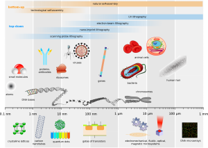 2000px-Biological_and_technological_scales_compared-en.svg 2