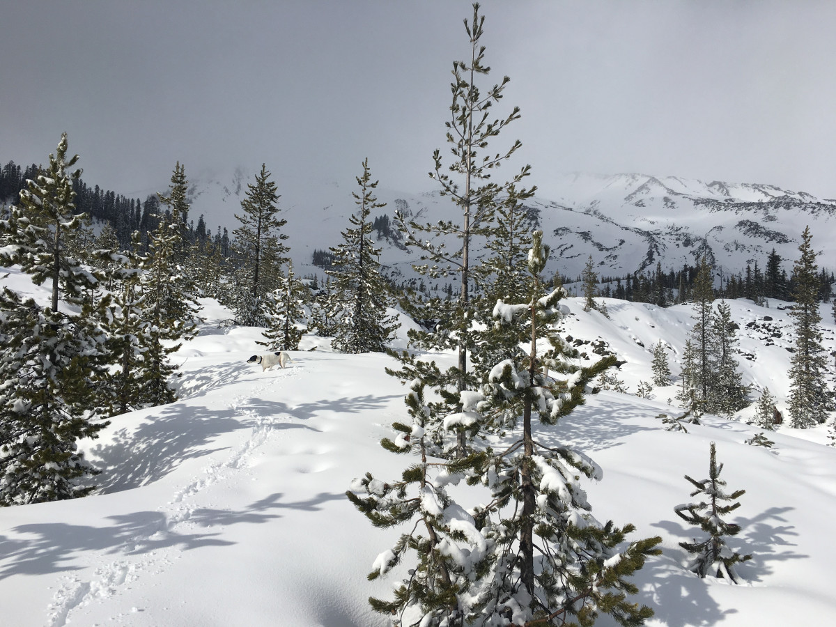 Snowshoeing Mount Saint Helens