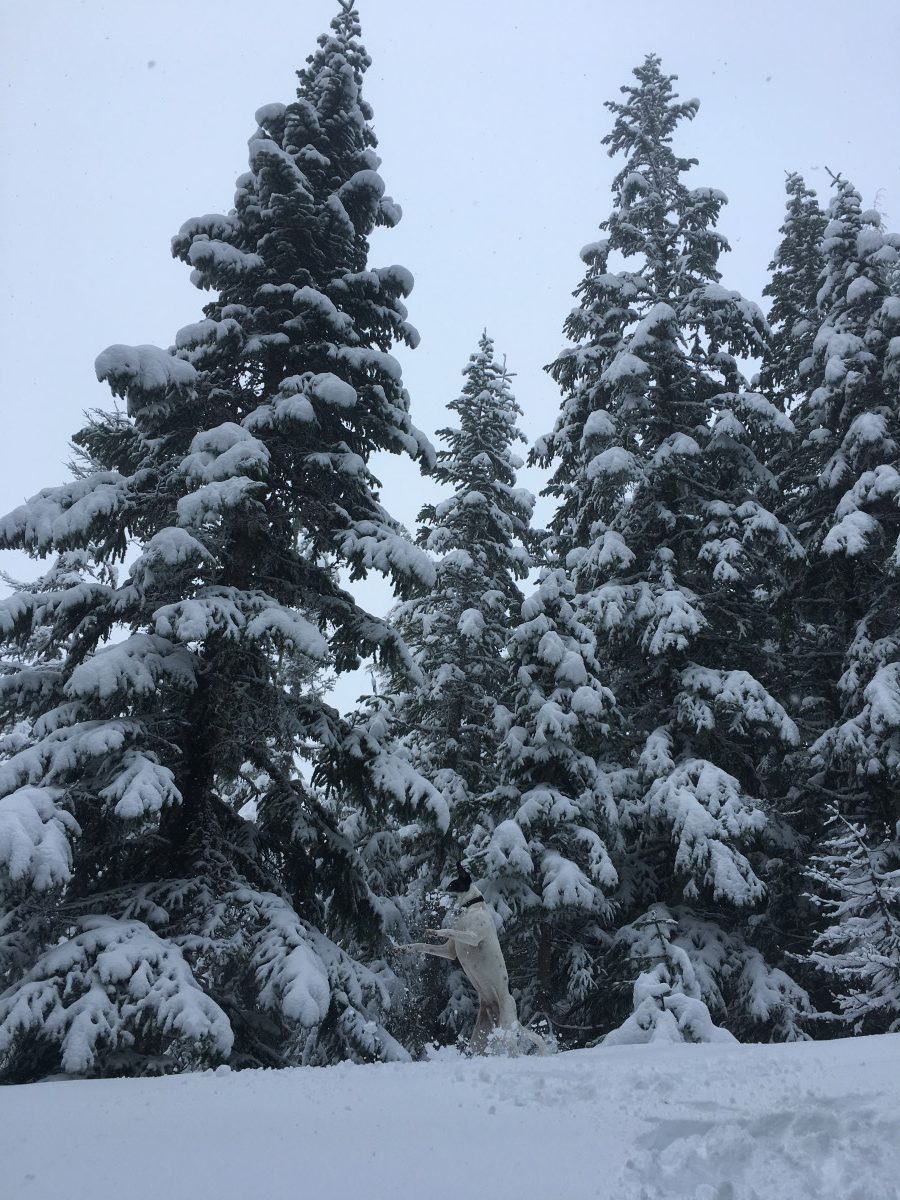 Snowshoeing Mount Saint Helens
