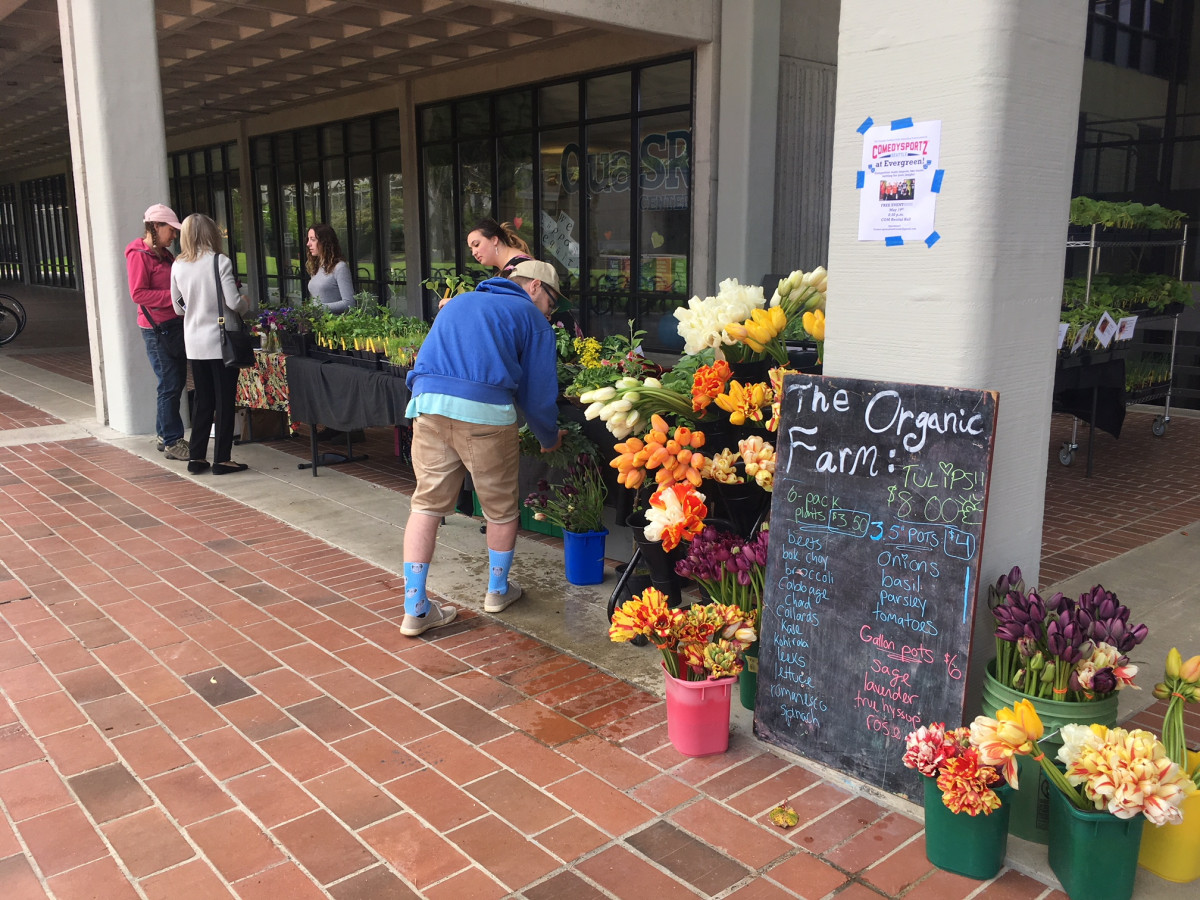 50% Off Produce From The Organic Farm On Campus