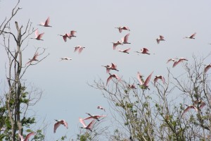 img_5439