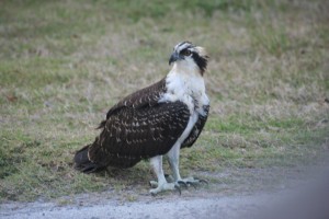 img_6186