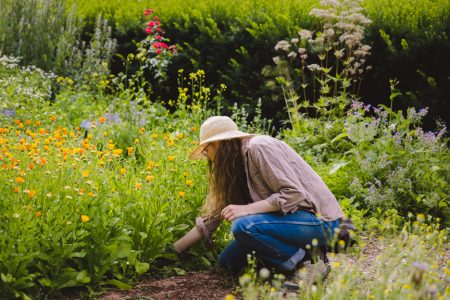 European Medicinal Herb Garden | Evergreen Teaching Gardens