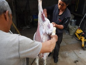 Ze's cousin skinning then butchering the carcass