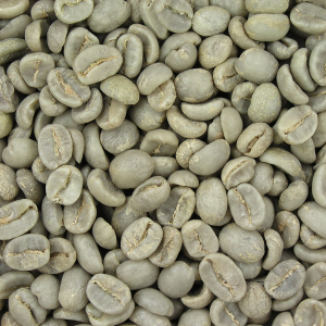 Green Coffee - The beans that have been processed and are ready to be roasted. by Dan Bollinger