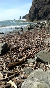 Sticks on a beach