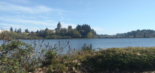 Capital Lake with a view of the capital building, trees and bushes around the building and lake's edge