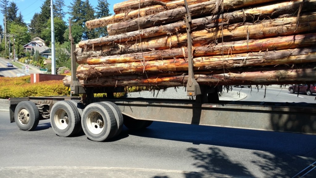 log truck driving through a roundabout