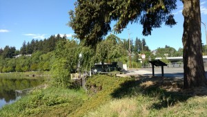 Dam with trees, grass, and a lake