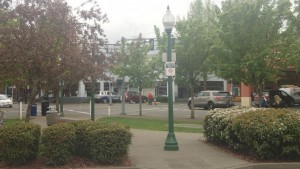 This a wide shot of the park across the street, as still viewable from the photo above. This photo has a three point perspective with flat space composition and an expressionistic style because it symbolized a place of resting and peace from the nature around it. 