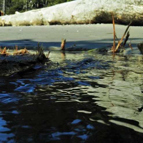 Where fresh water meets sea water