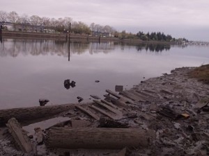 Mud flat, mostly submerged.