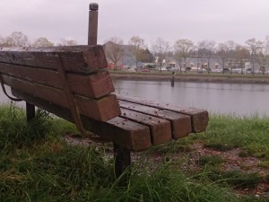 Bench lookout in area of study