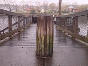 Dock in area of study