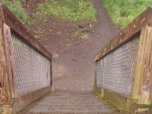 Stairs from dock down to waterline.