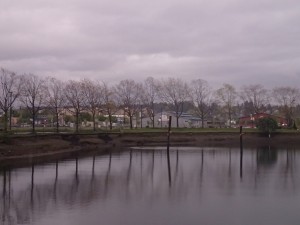 View of the other side of the inlet. 