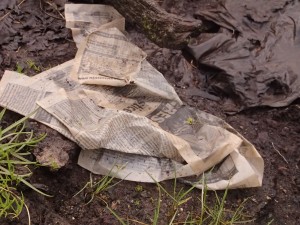 Old newspaper soaked by the rain.