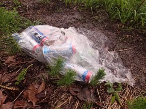 Bag of cans left in area of study.