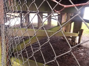 Underneath the dock, I've seen homeless people staying there.