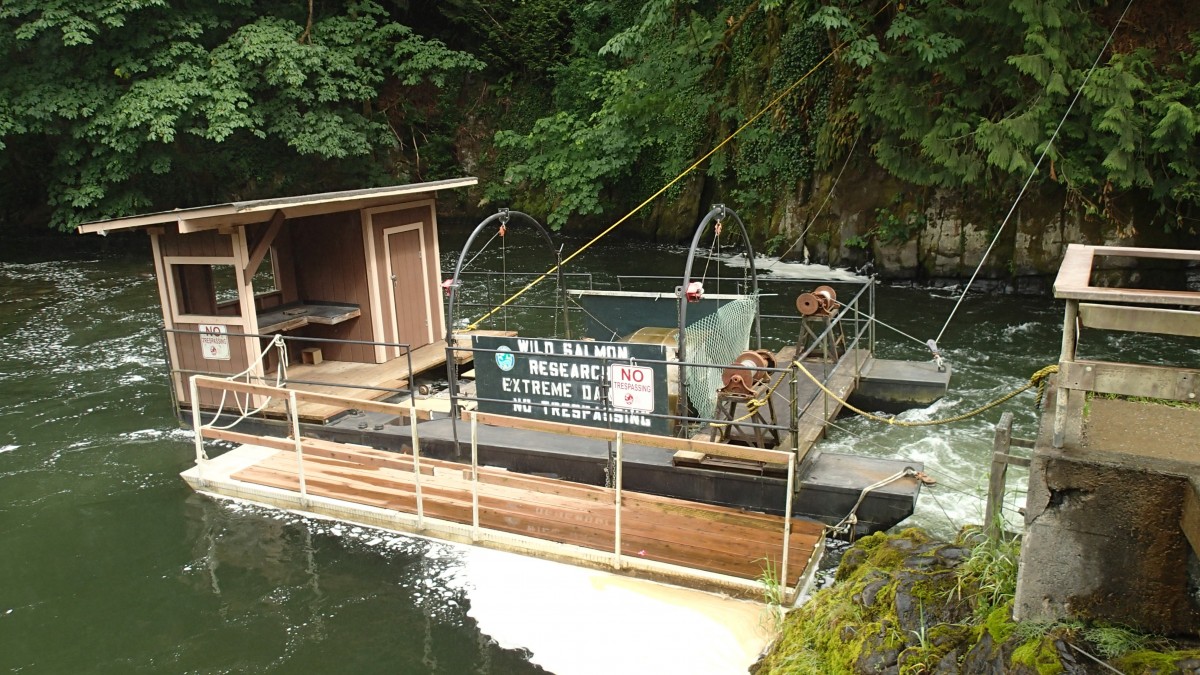 Just below the Tumwater Falls leading to Capitol Lake.