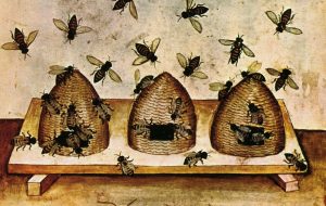 medieval-beekeeping-e1434940970327