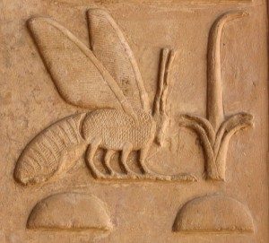 the-sacred-language-bee-hieroglyph-300x271