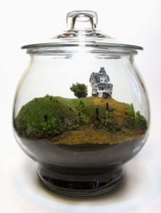 terrarium little world