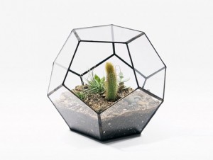 terrarium pentagonal