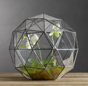 geodesic terrarium