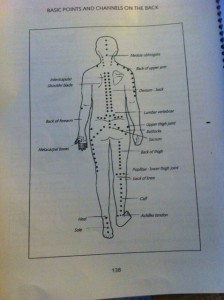 Massage notes, acupressure points on the back. Taken by Yarden.